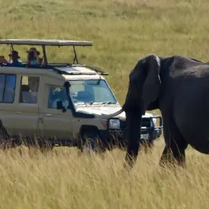 Explore The Great Kenya and Tanzania Explorer (Private 13 Days and 6 Game Reserves) for 13 days with Professional Safari Africa and discover unforgettable experiences - Photo 9