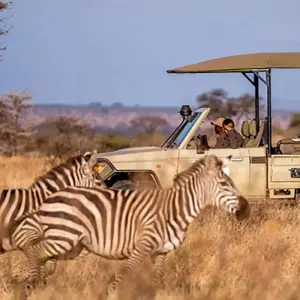 Explore 11-Day Luxury Cape Town, Kruger NP, Victoria Falls and Chobe National  Park (Unforgettable Experience) for 11 days with Professional Safari Africa and discover unforgettable experiences - Photo 7