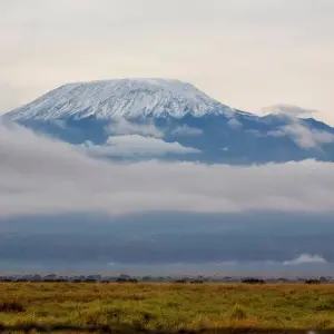 Explore Mountain Kilimanjaro, Machame Route for 6 days with Professional Safari Africa and discover unforgettable experiences - Photo 3