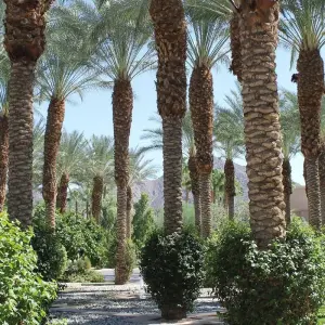 Explore 5 days Casablanca & Marrakech Tour for 5 days with PureMorocco and discover unforgettable experiences - Photo 2