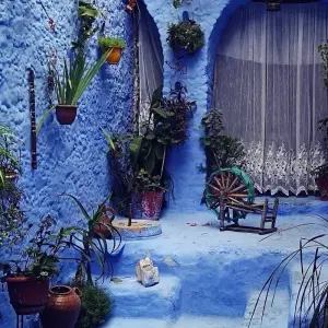 Explore 9 days Morocco Imperial Cities & Chefchaouen Tour for 9 days with PureMorocco and discover unforgettable experiences - Photo 2