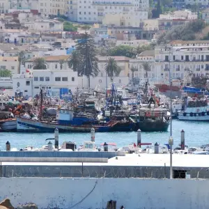 Explore 9Days The Royal & North Morocco Tour for 9 days with PureMorocco and discover unforgettable experiences - Photo 2