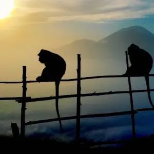 Explore Explore Bali & Beyond for 6 days with Putu Bali Driver and discover unforgettable experiences - Photo 5