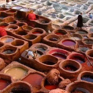 Explore 9 days Morocco Imperial Cities & Chefchaouen Tour for 9 days with PureMorocco and discover unforgettable experiences - Photo 10