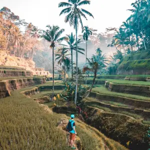 Explore Bali Private Tours - All Inclusive for 10 days with Putu Bali Driver and discover unforgettable experiences - Photo 8