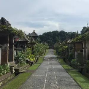 Explore Bali Adventure Tours for 6 days with Putu Bali Driver and discover unforgettable experiences - Photo 9