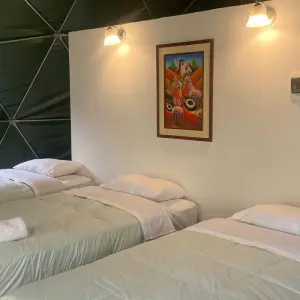 Explore 3-Day Llama Hike Sacred Valley Machupicchu with Glamping Sky Lodge Dome in Cusco for 3 days with QUECHUAS EXPEDITIONS PERU and discover unforgettable experiences - Photo 5