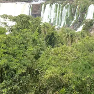 Explore 4 Days - Citypackage Iguassu Falls for 4 days with Qwerty Travel Argentina and discover unforgettable experiences - Photo 5