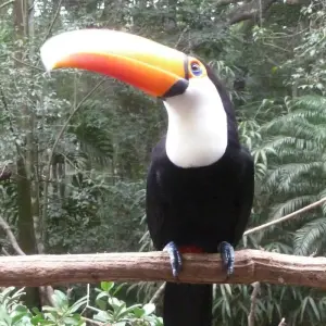 Explore Combined Argentina with Falls, Lakes and Glaciers in 15 Days for 15 days with Qwerty Travel Argentina and discover unforgettable experiences - Photo 6