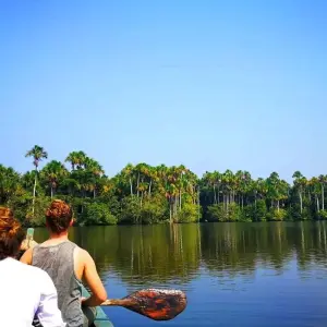 Explore 5-Day Tambopata Rainforest Amazon Natural Reserve Puerto Maldonado from Cusco for 5 days with QUECHUAS EXPEDITIONS PERU and discover unforgettable experiences - Photo 10