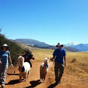 Explore 3-Day Llama Hike Sacred Valley Machupicchu with Glamping Sky Lodge Dome in Cusco for 3 days with QUECHUAS EXPEDITIONS PERU and discover unforgettable experiences - Photo 11