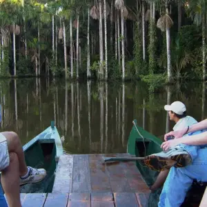 Explore 4-Day Tambopata Rainforest Amazon Natural Reserve Puerto Maldonado for 4 days with QUECHUAS EXPEDITIONS PERU and discover unforgettable experiences - Photo 10