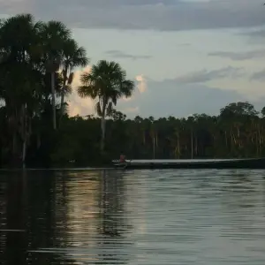 Explore 3-Day Tambopata Rainforest Amazon Natural Reserve Puerto Maldonado for 3 days with QUECHUAS EXPEDITIONS PERU and discover unforgettable experiences - Photo 10