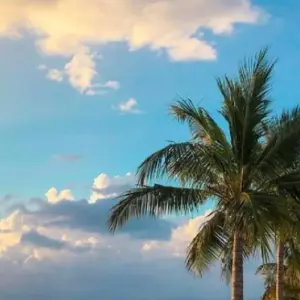 Explore Beach & Jungle Romance for 7 days with ROEming Belize and discover unforgettable experiences - Photo 3