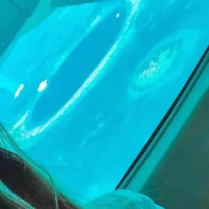 Explore Flight over the Great Blue Hole from Ambergris Caye for 1 days with ROEming Belize and discover unforgettable experiences - Photo 4