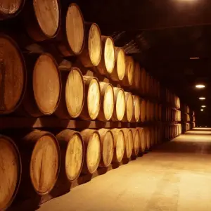 Explore 5-Day Ireland's South−East from Dublin for 5 days with Rabbie’s Small Group Tours and discover unforgettable experiences - Photo 5