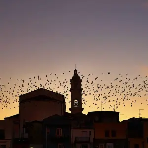 Explore 6-Day Pompeii, Amalfi Coast and Irresistible Italy Small-Group Tour from Rome for 6 days with Rabbie’s Small Group Tours and discover unforgettable experiences - Photo 3