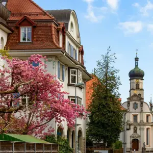 Explore 6 Day Exploring the Landscapes of Switzerland from Zurich for 6 days with Rabbie’s Small Group Tours and discover unforgettable experiences - Photo 5