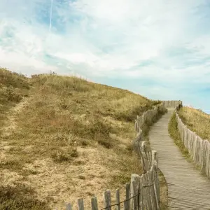 Explore 3-Day Blarney Castle, Kilkenny & Irish Whiskey Small-Group Tour from Dublin for 3 days with Rabbie’s Small Group Tours and discover unforgettable experiences - Photo 5