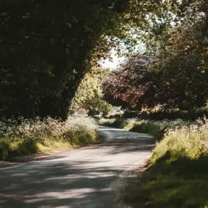 Explore 3-Day Blarney Castle, Kilkenny & Irish Whiskey Small-Group Tour from Dublin for 3 days with Rabbie’s Small Group Tours and discover unforgettable experiences - Photo 7