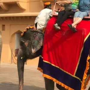 Explore Private Overnight Jaipur Tour from Delhi for 2 days with Raj Tour & Travel and discover unforgettable experiences - Photo 4