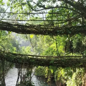 Explore Unveiling the Untamed Beauty of Northeast India: A Cultural Journey for 16 days with Ramble Advisor and discover unforgettable experiences - Photo 9