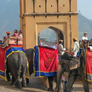 Explore Golden Triangle Tour with Bharatpur Bird Sanctuary & Varanasi for 9 days with Real viaggi india  and discover unforgettable experiences - Photo 2