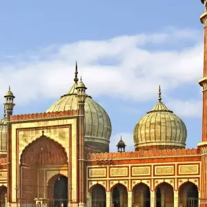 Explore Golden Triangle Tour with Bharatpur Bird Sanctuary & Varanasi for 9 days with Real viaggi india  and discover unforgettable experiences - Photo 10