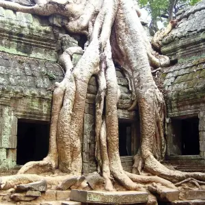 Explore A Taste Of Vietnam And Cambodia In 9 Days for 9 days with Realistic Asia and discover unforgettable experiences - Photo 2