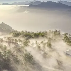 Explore Vietnam and Thailand Deluxe Tour In 14 Days for 14 days with Realistic Asia and discover unforgettable experiences - Photo 3