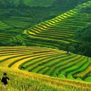Explore Vietnam and Thailand Deluxe Tour In 14 Days for 14 days with Realistic Asia and discover unforgettable experiences - Photo 7