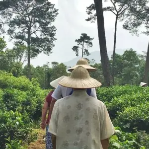 Explore Pearls of Vietnam and Cambodia In 8 Days for 8 days with Realistic Asia and discover unforgettable experiences - Photo 4