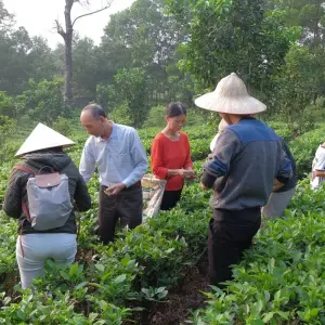 Explore Delightful Vietnam In 13 Days for 13 days with Realistic Asia and discover unforgettable experiences - Photo 7