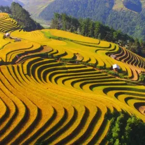 Explore Delightful Vietnam In 13 Days for 13 days with Realistic Asia and discover unforgettable experiences - Photo 8