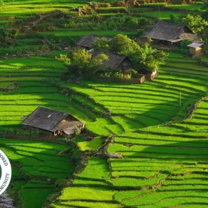 Explore Delightful Vietnam In 13 Days for 13 days with Realistic Asia and discover unforgettable experiences - Photo 10