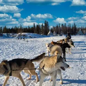 Explore EXPLORE THE MAGICAL AURORAS OF YELLOWKNIFE for 3 days with Receptivo Aborigen Tours and discover unforgettable experiences - Photo 5