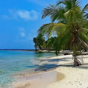 Explore A BEAUTIFUL WAY TO VISIT PANAMA for 6 days with Receptivo Aborigen Tours and discover unforgettable experiences - Photo 6