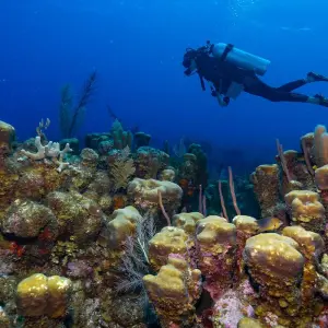 Explore Belize: A Tropical Hidden Paradise with Enchanting Maya Heritage - 4 Days for 4 days with Receptivo Aborigen Tours and discover unforgettable experiences - Photo 10