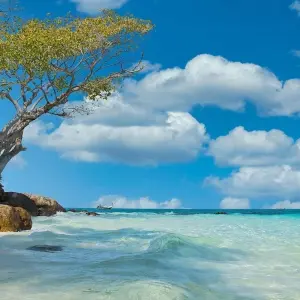 Explore USA - Hawai: Tropical Dreams - 5 days for 5 days with Receptivo Aborigen Tours and discover unforgettable experiences - Photo 10