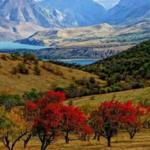 Explore EXPLORE THE HEART OF UZBEKISTAN for 6 days with Receptivo Aborigen Tours and discover unforgettable experiences - Photo 9