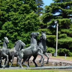 Explore Uruguay: Montevideo - Colonia - Punta del Este - 6 days for 6 days with Receptivo Aborigen Tours and discover unforgettable experiences - Photo 6