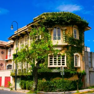 Explore Costa Rica: San Jose, Tortuguero, National Park  Arenal, Volcano National Park, Monteverde,Guanacaste- 12 days for 12 days with Receptivo Aborigen Tours and discover unforgettable experiences - Photo 6