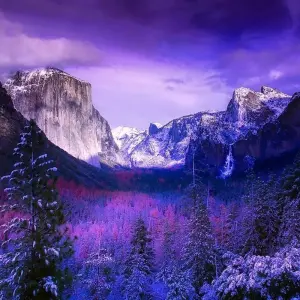 Explore USA - California Express - 3 days for 3 days with Receptivo Aborigen Tours and discover unforgettable experiences - Photo 3