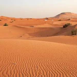 Explore Wonderful Dubai - 5 days for 5 days with Receptivo Aborigen Tours and discover unforgettable experiences - Photo 4