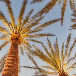 Explore USA - California Express - 3 days for 3 days with Receptivo Aborigen Tours and discover unforgettable experiences - Photo 9