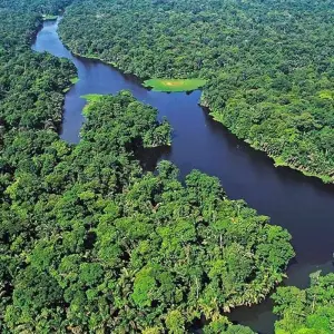Explore Costa Rica Two Oceans - 9 days for 9 days with Receptivo Aborigen Tours and discover unforgettable experiences - Photo 7