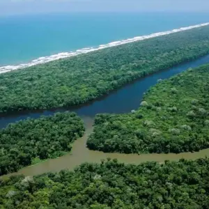 Explore Costa Rica Two Oceans - 9 days for 9 days with Receptivo Aborigen Tours and discover unforgettable experiences - Photo 8