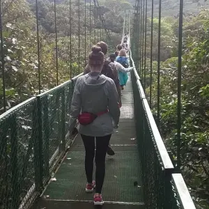 Explore EXPLORE TORTUGUERO – 3 DAYS OF PURE TROPICAL MAGIC for 3 days with Receptivo Aborigen Tours and discover unforgettable experiences - Photo 5