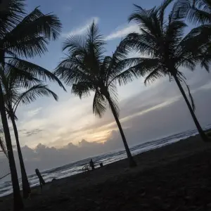 Explore EXPLORE TORTUGUERO – 3 DAYS OF PURE TROPICAL MAGIC for 3 days with Receptivo Aborigen Tours and discover unforgettable experiences - Photo 8