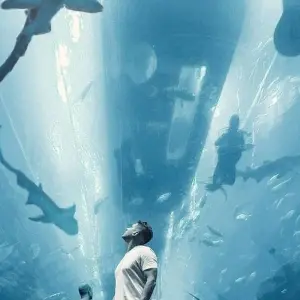 Explore Luxury Dubai Tour- 6 Nights & 7 days (4 star Luxury Apartment) for 7 days with Relax Getaways Pvt. Ltd and discover unforgettable experiences - Photo 4